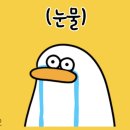 SQLD 비전공자 직장인 2주 공부 합격 후기! (feat. 공부법, 에듀아토즈 인강)