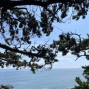 선양캠핑장 | 울산 동구 대왕암오토캠핑장 후기 사이트 추천