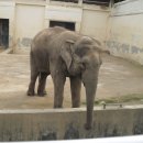 달성공원 이미지