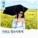 가파리 마을회관 | 제주도 섬여행 5월 가파도 청보리축제 배시간 청보리밭 유채꽃밭