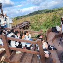 하례초등학교 이미지