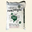 이삭 - 공주시 | 이삭