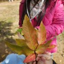 풍성어린이집 이미지