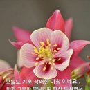 행복한하루 이미지