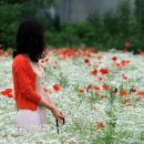 그대 안에그대 이미지