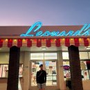 비거농장 | 🏝️하와이 호놀룰루 여행 | 하나우마베이 스노클링🤿 래니카이 필박스 트래킹🏞️