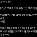 씨유다이브 | 인스파이어 아레나 아이브 콘서트 후기 (feat.꼭 이렇게까지 하게 만드시네요?)