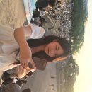 자몽호스텔 이미지