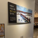 북극해고등어구리토평점