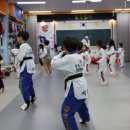 동탄 경희대 태권도장 이미지