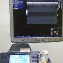 코끼리휴병원 이미지