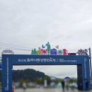 축제-평화의 축제 | 2025 칠곡 낙동강 평화축제 후기, 빗속에서 즐긴 체험과 작년과는 다른 풍경