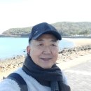 금호행정사 이미지