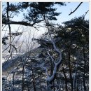 제461차 충북괴산 박달산 계획(2014.1.1) 이미지