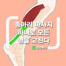 하루 5분!! 종아리 마사지 하나로 모든 병을 고친다 이미지