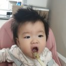 댕이맘마 이미지