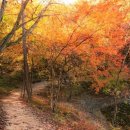 호수길 걷기명상 이미지