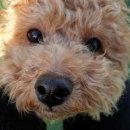 살랑살랑 이미지