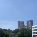 파란여행사주