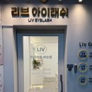 역삼역 속눈썹펌 &#39;리브아이래쉬&#39; 속눈썹펌 맛집 리얼후기