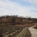 원경농장 이미지