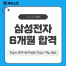DS전자 | 삼성전자 DS 채용 합격 후기, 취준 기간과 자소서 문항 및 양식