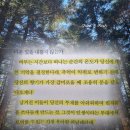 나를 지키는 법 책 | 발타자르 그라시안 책 후기 | 향기가 머무는 우아한 퇴장에 대하여 추천 리뷰 핵심...