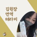 김원장면역테라피 이미지