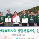 나무이노베이션 이미지