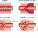 더본연합정형외과의원 이미지