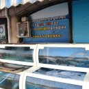 경주활어센타