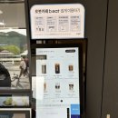 봉주르SQ | 남양주 가볼만한곳 팔당 봉주르스퀘어 리모델링 카페 후기(ft. sq)