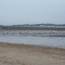 백미리 공중화장실 이미지