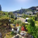 주왕산애플펜션 이미지