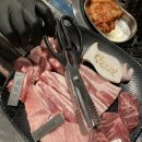 야성초등학교 맞은편 이미지