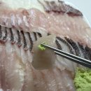 신선농수산물유통