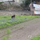 평산마을경로당 이미지