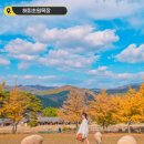 베스트목장 이미지