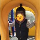 종암어린이집 이미지