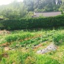 저두농장 이미지