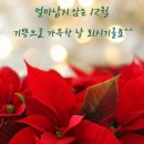 롤리팝성형외과의원 | 롤리팝 성형외과 솔직 후기 아듀~ 2023년!!나에게 주는선물👍👍👍