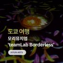 감각이 자라는 미술입체놀이(A) | 도쿄 여행에서 꼭 가볼 곳 미술관 투어 추천 팀랩 보더리스 전시 후기와 관람 정보