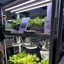 재원농장 | 스마트한 농업의 미래를 만나다🌱 2025 스마트팜코리아 @창원컨벤션센터 관람 후기