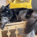 테이블에이 이미지