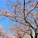 양양군 야구장 이미지