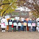 스티 카카오 검색결과