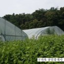 참다운부동산공인중개사사무소 이미지