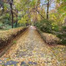 쇠재공원 이미지