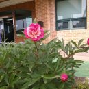 행복요양원 이미지