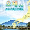 [천상화원] 오제국립공원 습지 야생화 및 힐링 트레킹(4D) 이미지